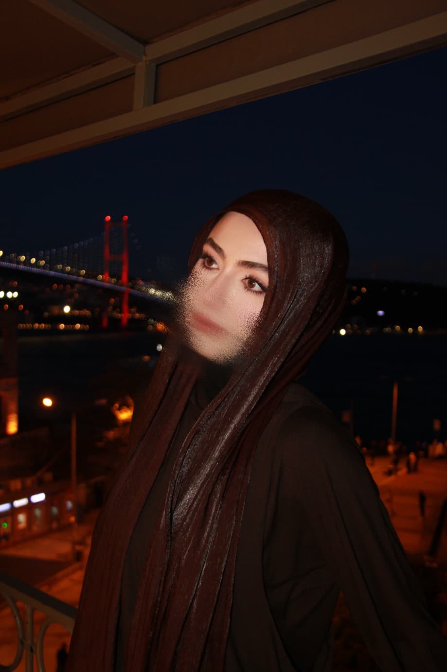 Brown Organza Scarf