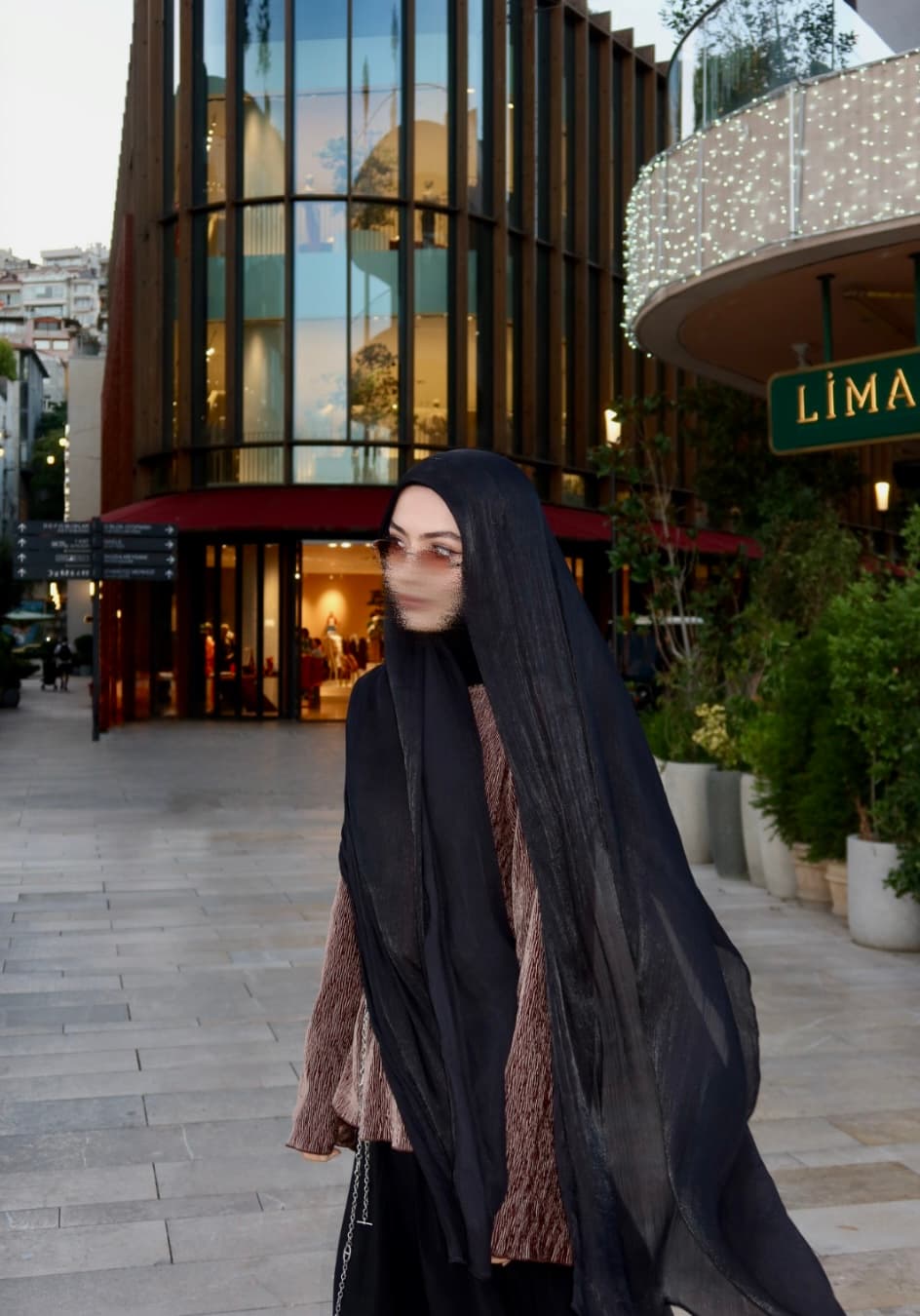Black Organza Scarf